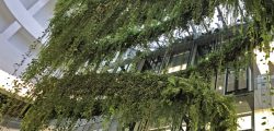 La realizzazione di pareti vegetali e di un giardino verticale- Patrick Blanc