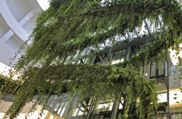 La realizzazione di pareti vegetali e di un giardino verticale- Patrick Blanc
